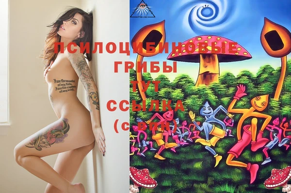 таблы Алексин