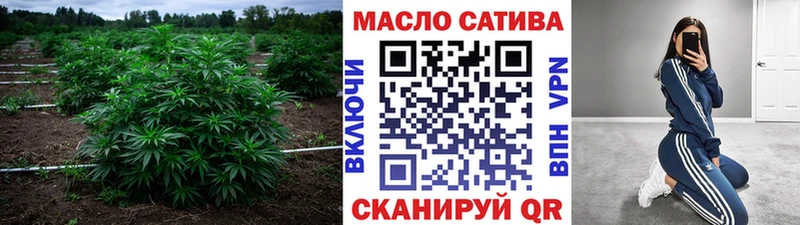 ТГК гашишное масло  закладки  Ардатов 