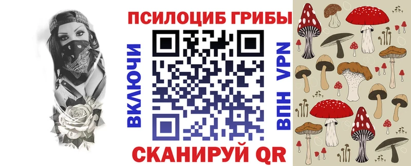 Псилоцибиновые грибы GOLDEN TEACHER  продажа наркотиков  Ардатов 